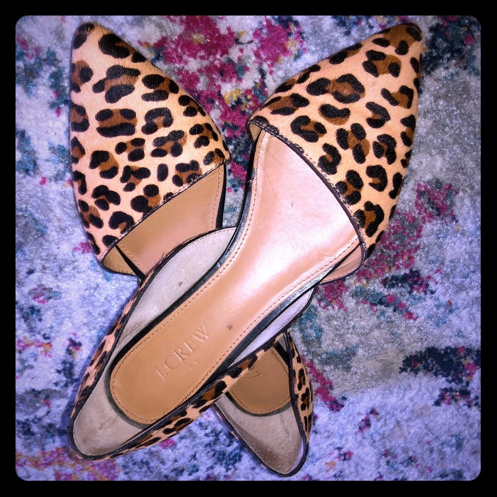 Cheetah Flats
